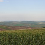 The Romanian Countryside