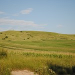 Romanian Landscape