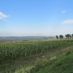 Romanian Agriculture